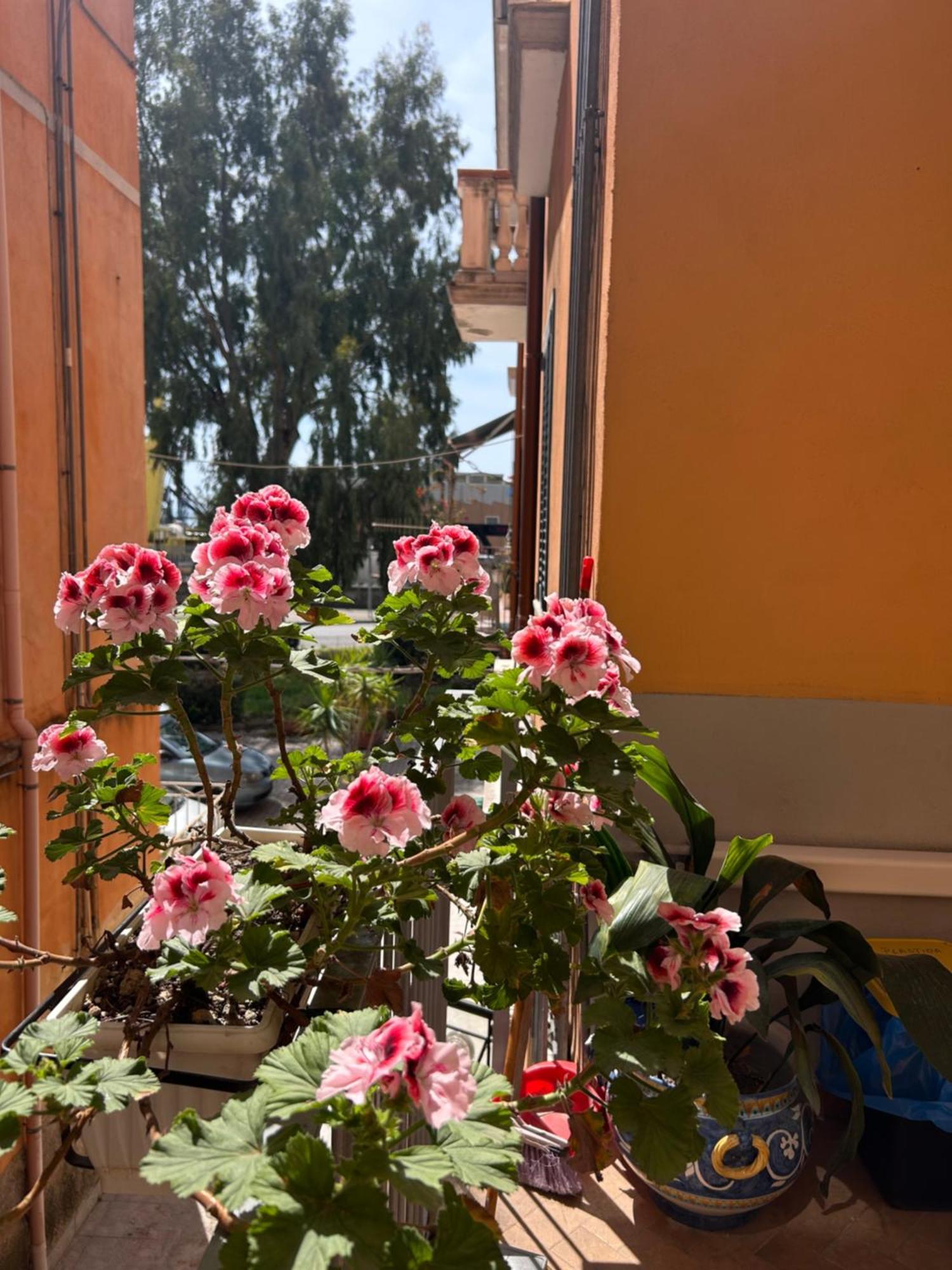 Sissi House Salerno Apartment Exterior photo